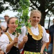 24-08-04-landwehr-braeu-brauereifest-24-016
