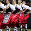 24-08-04-landwehr-braeu-brauereifest-24-021
