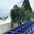 250705-brauereifest-countdown.jpg