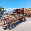 landwehr-braue-brauereifest-2026-099